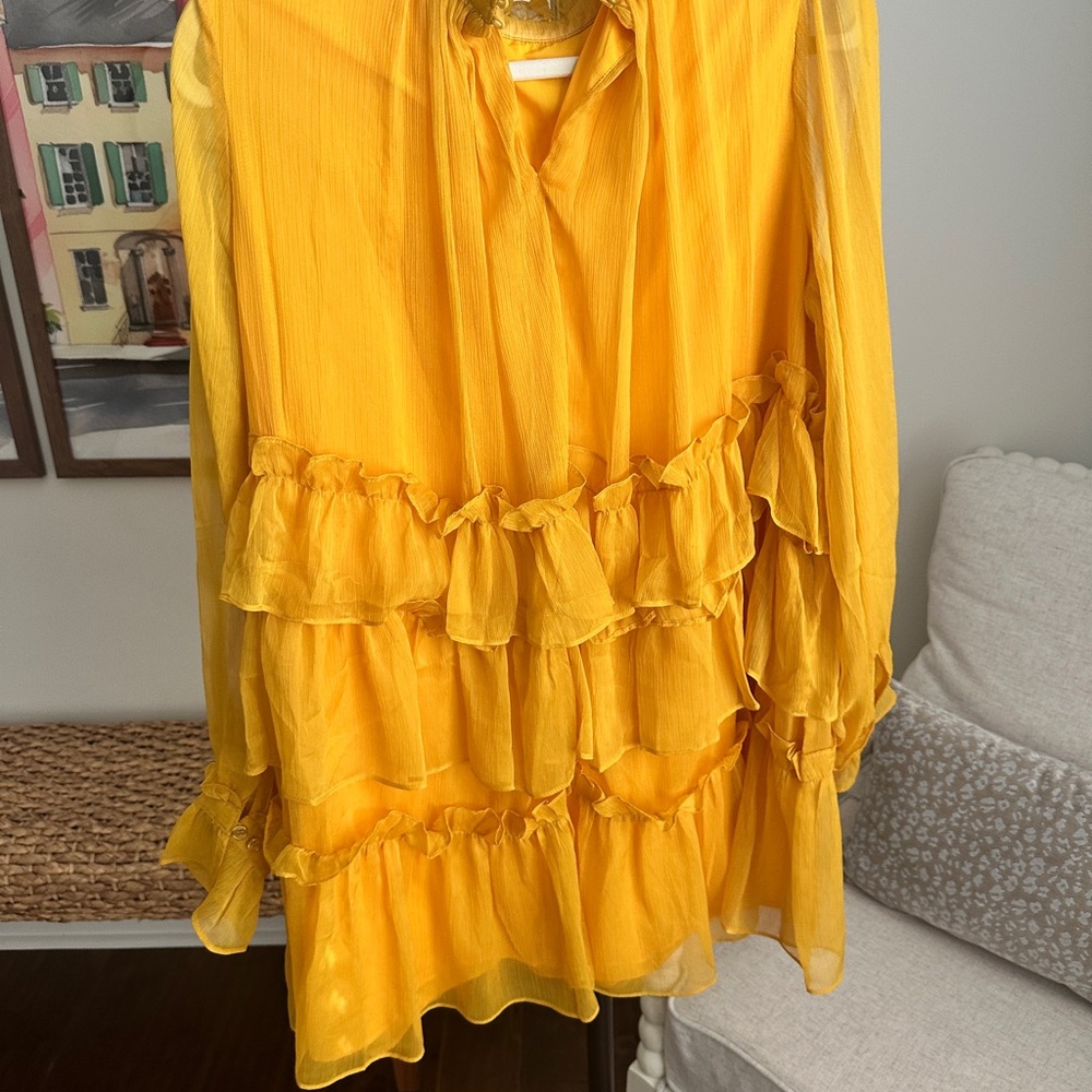 Adam Lippes Sunny Yellow Ruffle Dress - Picture 2 of 5